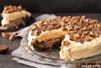 Ultimate Chocolate Peanut Butter Ice Cream Cake