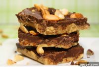 Decadent Peanut Butter Chocolate Squares
