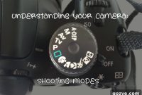 Master Your Camera’s Shooting Modes