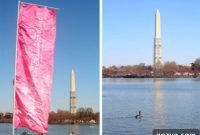 Washington’s Sakura Spring