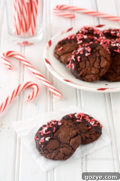 Peppermint Mocha Brownie Cookies - A close-up of a chocolate-dipped cookie with festive sprinkles on a white background.