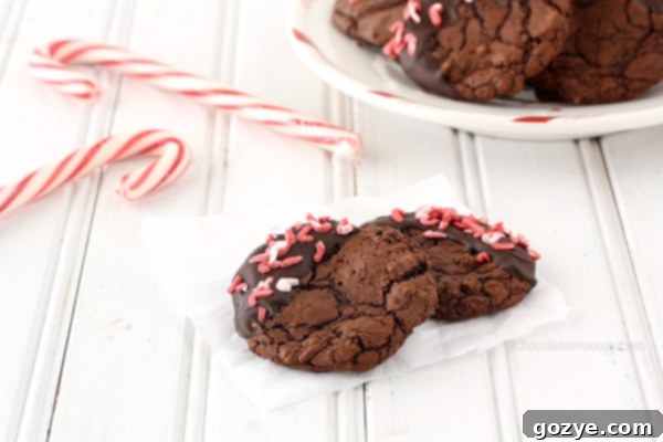 Peppermint Mocha Brownie Cookies with various sprinkles on top.