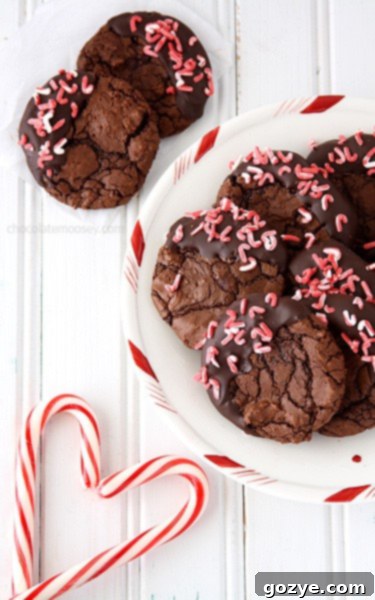 A close-up of a single Peppermint Mocha Brownie Cookie with chocolate and sprinkles.