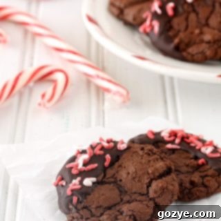 Peppermint Mocha Brownie Cookies