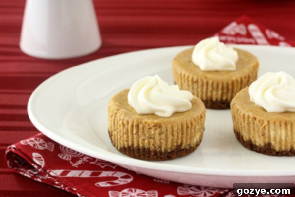 Mini Christmas Cheesecakes topped with whipped cream and gingersnap crumbs