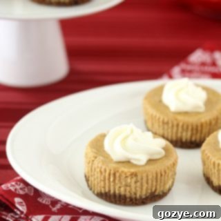Mini Gingerbread Cheesecakes - Recipe Card Image