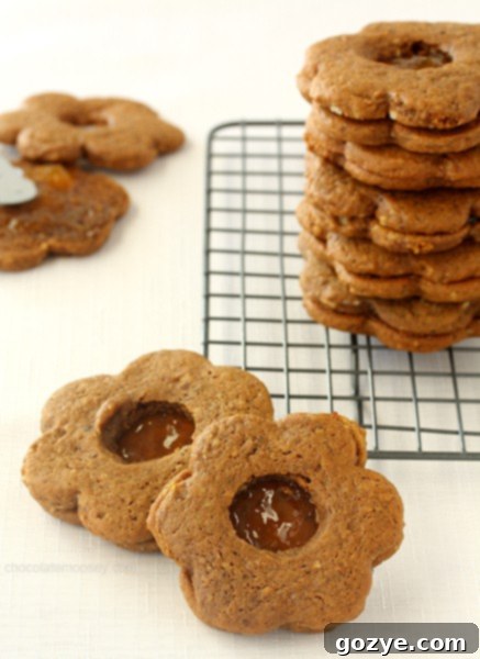 Gingerbread Linzer Cookies
