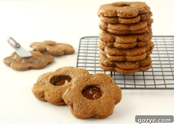 Gingerbread Linzer Cookies