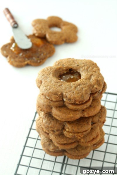 Gingerbread Linzer Cookies