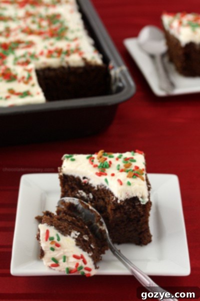 Another perspective of the Gingerbread Texas Sheet Cake, highlighting its moist texture