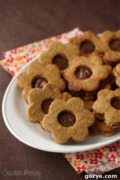 Spiced Hazelnut Linzer Cookies - Close-up
