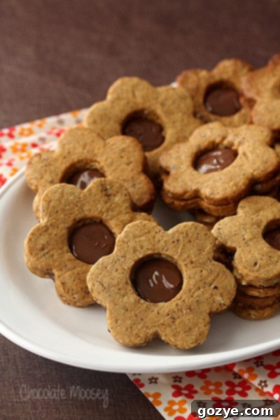 Stacked Spiced Hazelnut Linzer Cookies