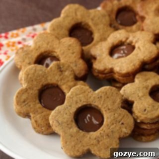 Spiced Hazelnut Linzer Cookies finished