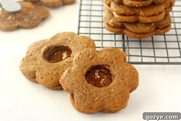 Gingerbread Linzer Cookies