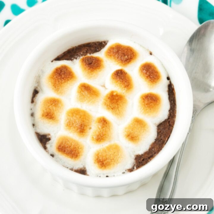 Decadent Fudgy Single Serve Brownie in Ramekin