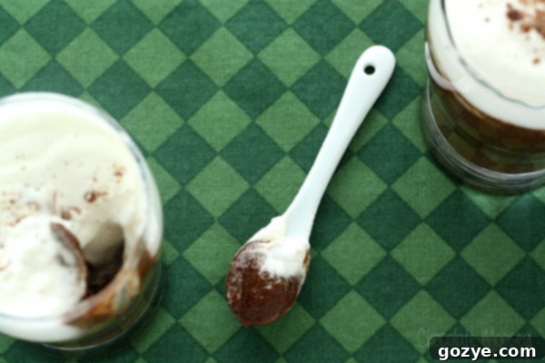 Decadent Duos Chocolate Guinness Mousse 5 Finished Guinness Chocolate Mousse Cups with whipped cream and chocolate shavings