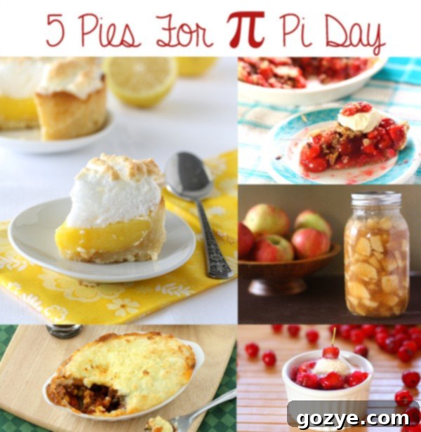 Collection of 5 different pies for Pi Day celebration