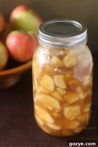 Three different homemade pie fillings: apple, cherry, peach