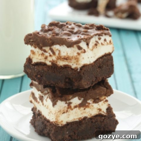 Crispy Peanut Butter Marshmallow Brownies - Finished dessert