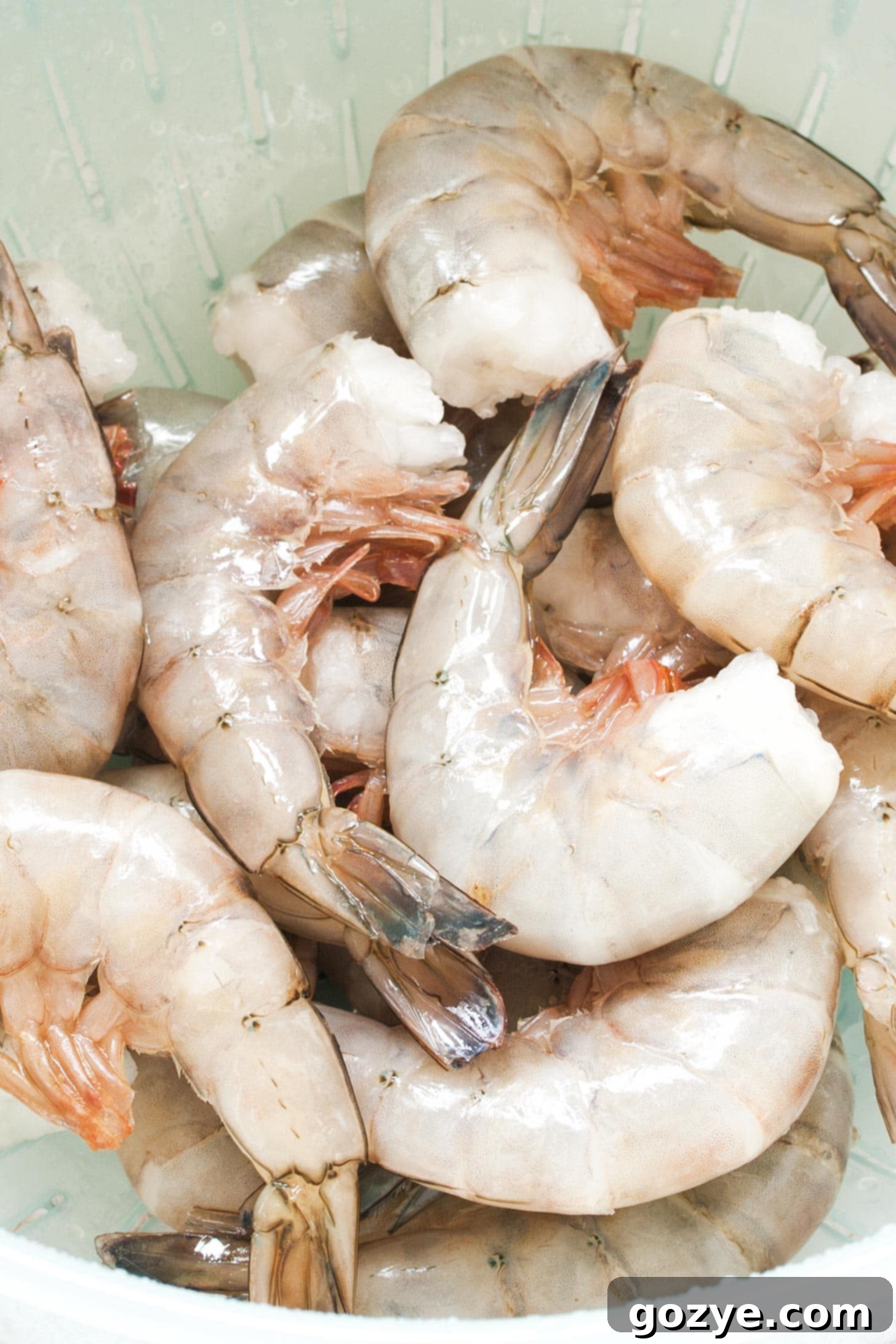 Raw shrimp in colander