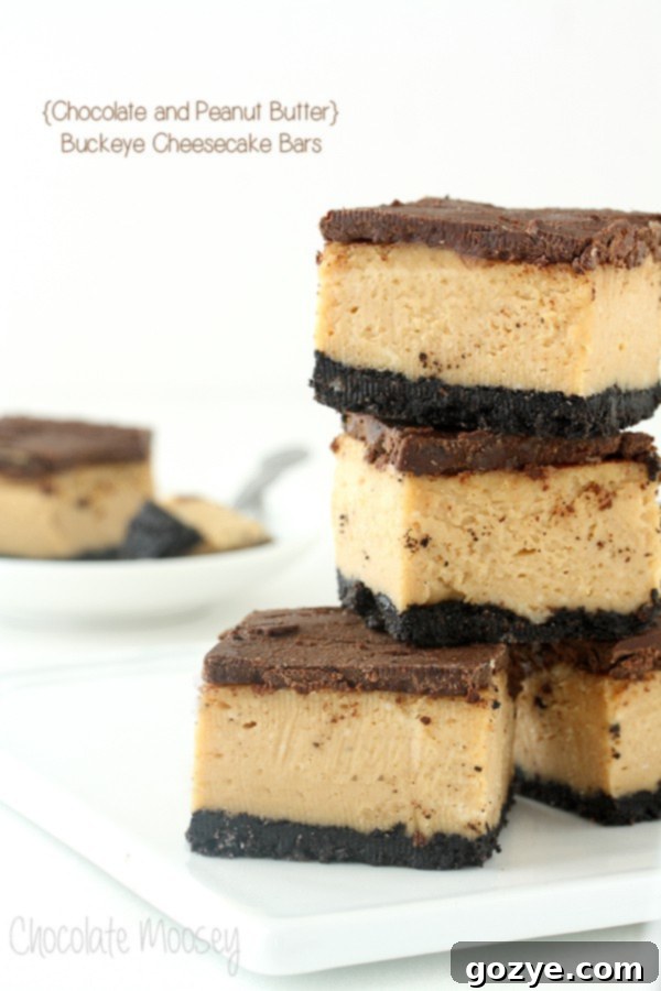 Decadent Buckeye Chocolate Peanut Butter Cheesecake Bars with a cookie crust