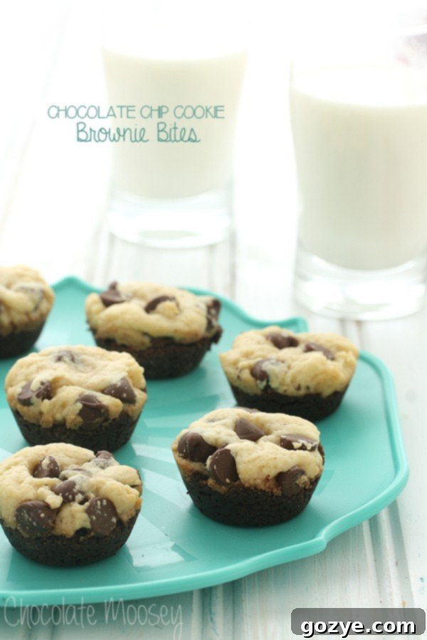 Ultimate Cookie Brownie Fusion 2 Chocolate Chip Cookie Brownie Bites - a perfect fusion of cookie and brownie