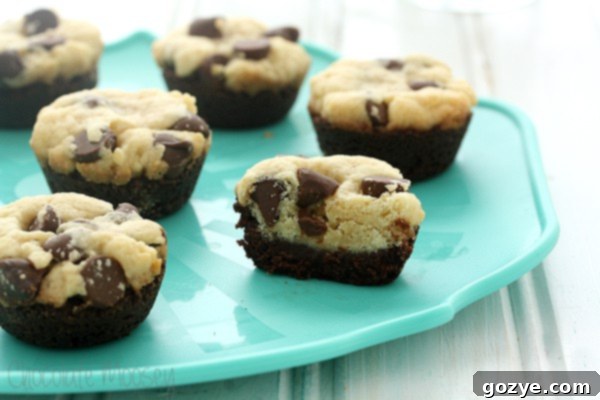 Ultimate Cookie Brownie Fusion 6 More Chocolate Chip Cookie Brownie Bites, ready to enjoy