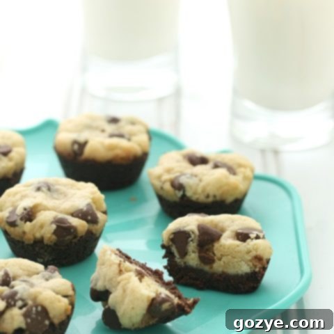 Ultimate Cookie Brownie Fusion 7 Chocolate Chip Cookie Brownie Bites