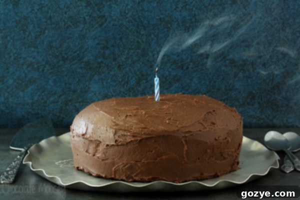 Close-up of Devil's Food Layer Cake crumb