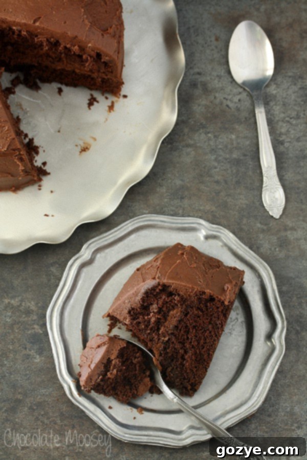 Devil's Food Layer Cake with Whipped Chocolate Buttercream Frosting ready to serve