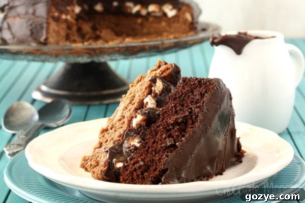 Chocolate Caramel Cheesecake Cake