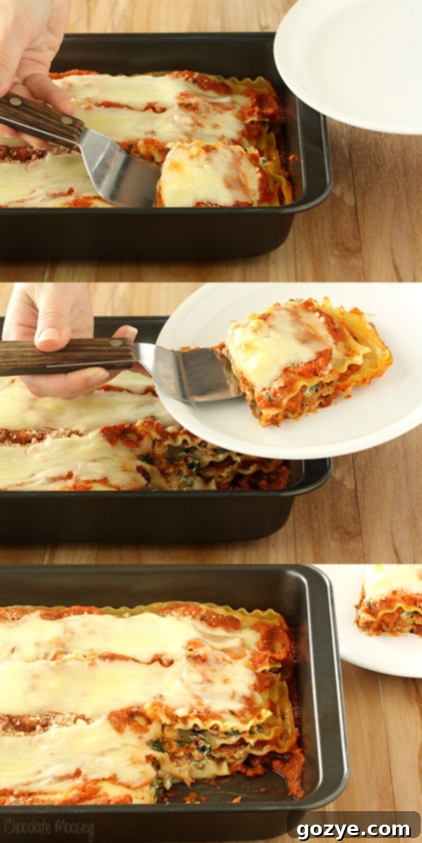 A freshly baked pan of Spinach, Carrot, and Mushroom Lasagna