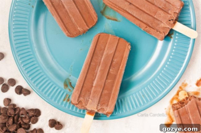 Decadent DIY Fudge Pops 4 Fudgesicles on a teal plate