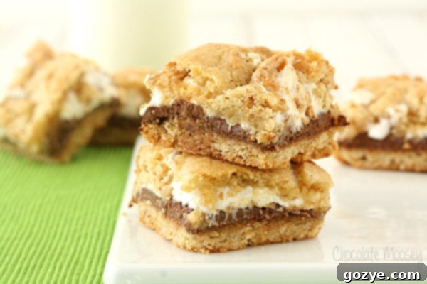 S'mores Cookie Bars 3 Close-up of S'mores Cookie Crumb Bars showing layers