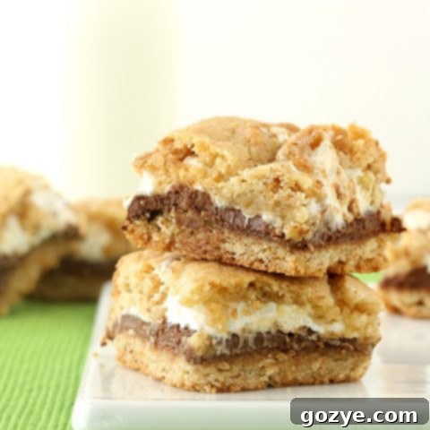 S'mores Cookie Bars 7 S'mores Cookie Crumb Bars recipe image
