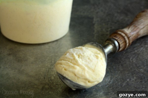 Scoop of Vanilla Bean Ice Cream next to pint container