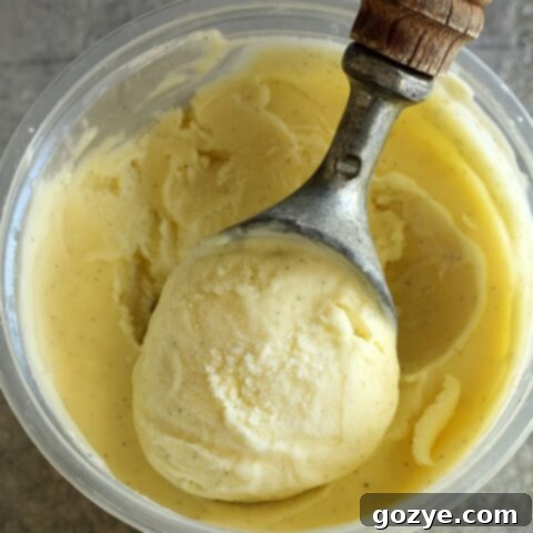 Vanilla Bean Ice Cream in pint container with ice cream scoop