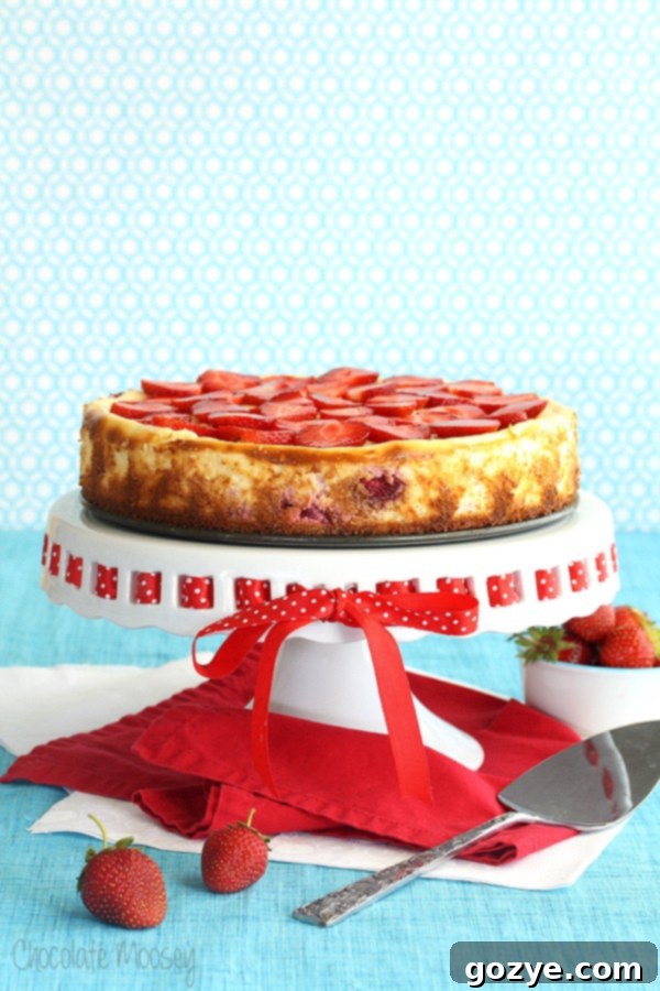 Strawberry Shortcake Cheesecake with a sponge cake crust