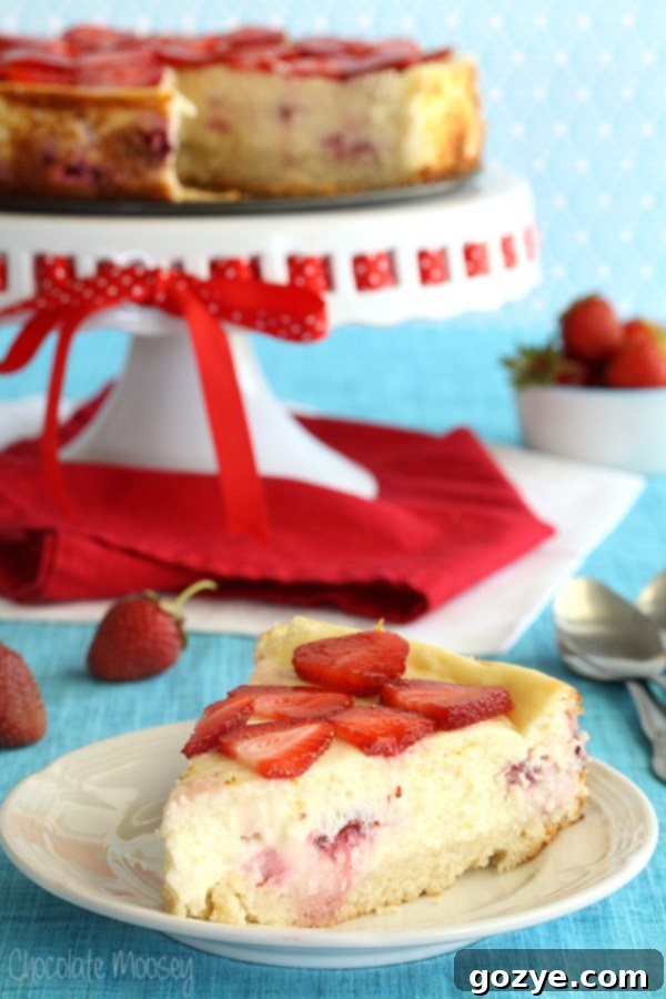Strawberry Shortcake Cheesecake with a sponge cake crust