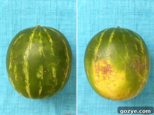 Individual ingredients for Watermelon Popsicles laid out: cubed watermelon, Greek yogurt, sugar, and lemon