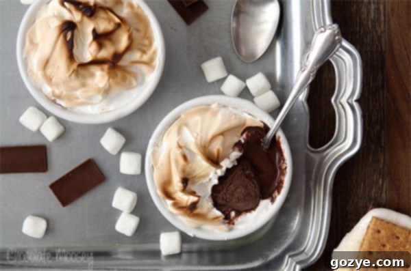 S'mores Baked Alaska pin for Pinterest