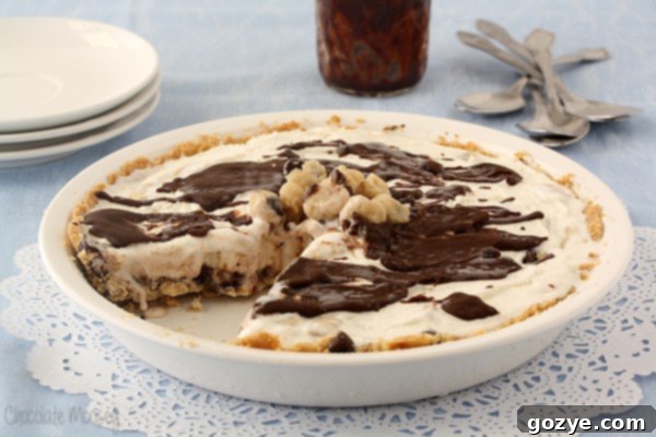 Chocolate Chip Cookie Dough Ice Cream Pie