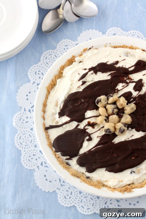 Chocolate Chip Cookie Dough Ice Cream Pie