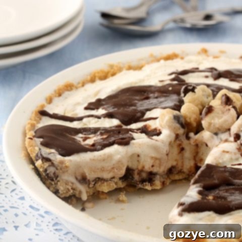 Chocolate Chip Cookie Dough Ice Cream Pie