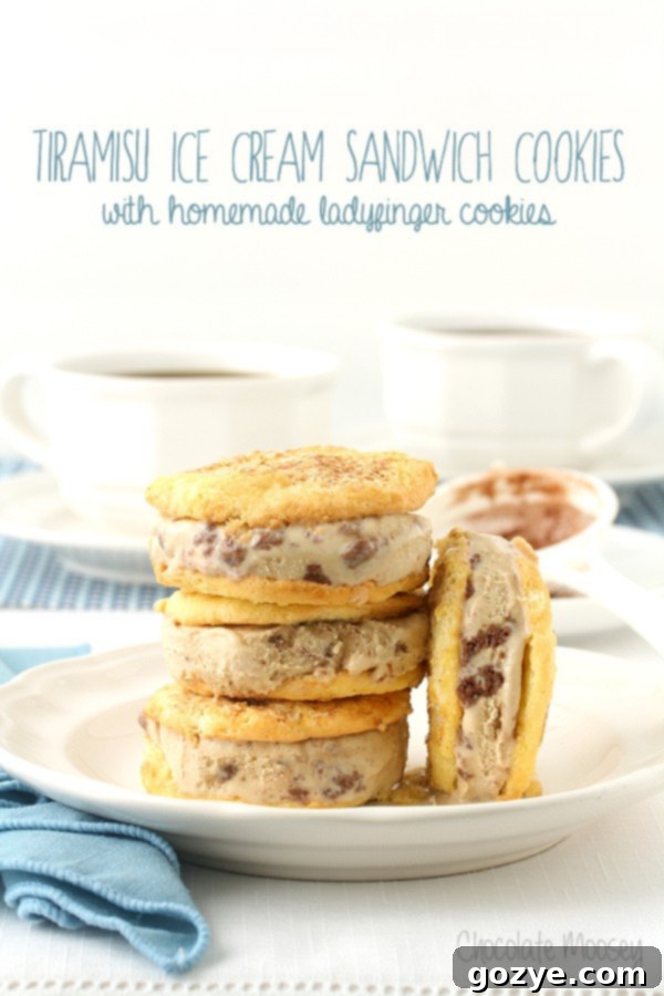 Tiramisu Ice Cream Sandwich Cookies made with homemade ladyfinger cookies and tiramisu gelato
