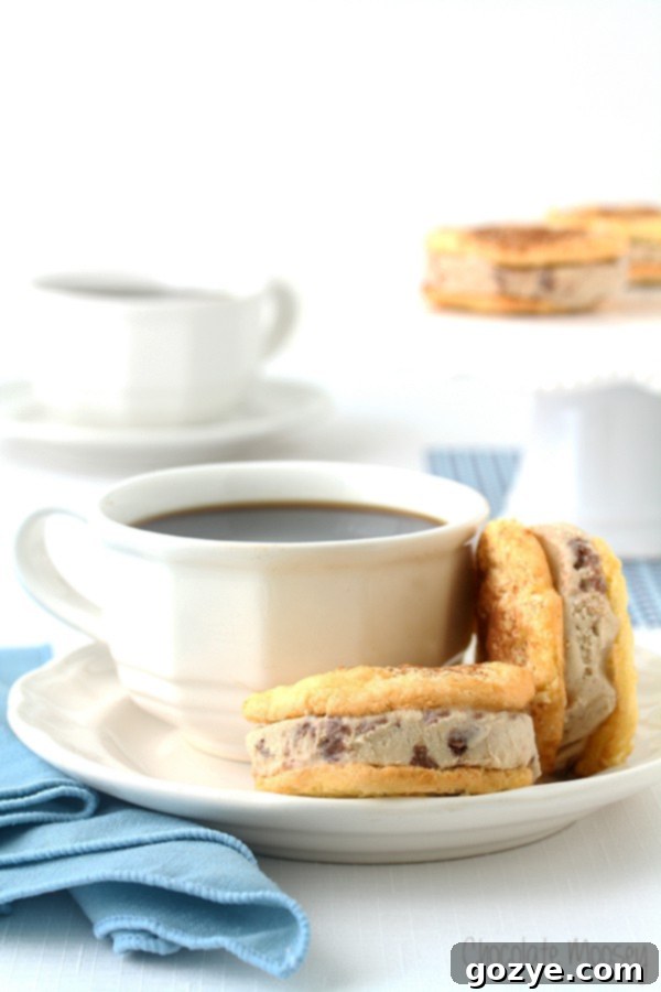 Tiramisu Ice Cream Sandwich Cookies made with homemade ladyfinger cookies and tiramisu gelato