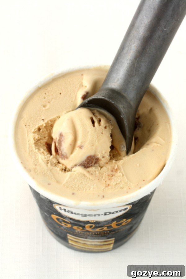 Häagen-Dazs Tiramisu Gelato