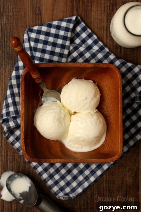 Buttermilk Ice Cream Scoop