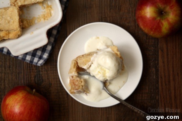 Apple Half Slab Pie With Buttermilk Ice Cream