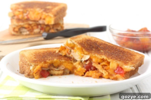 Fiesta Chicken Melt 5 Ingredients for Salsa Chicken Grilled Cheese, including salsa, chicken, and french-fried onions